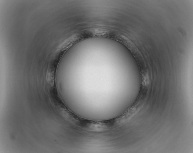 X0000113040666200909101919