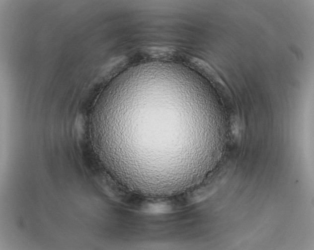 X0000113040667200909101919