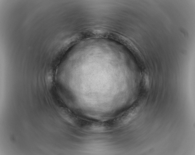 X0000113040668200909101919
