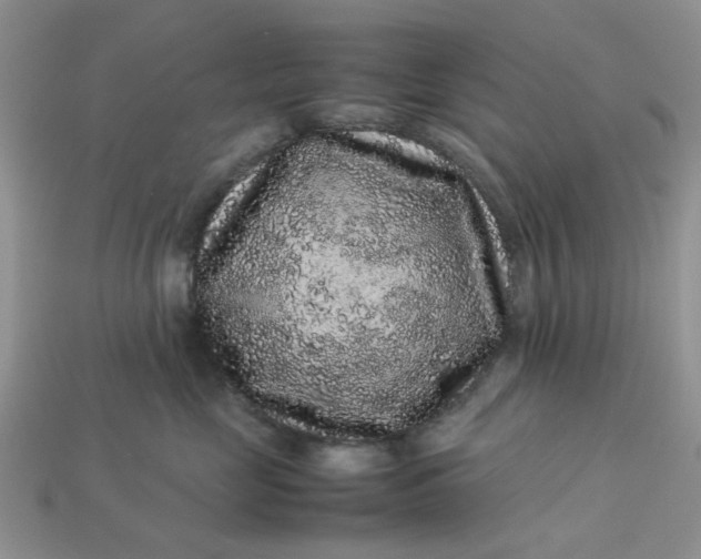X0000113040669200909101919