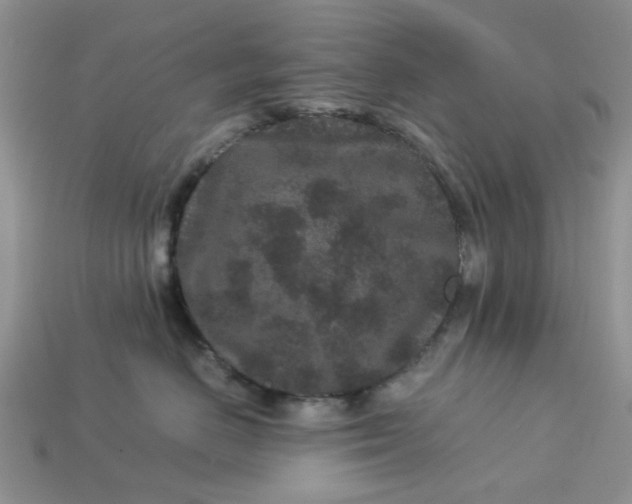 X0000113040670200909101919