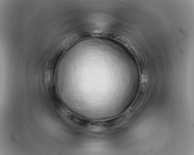 X0000113040671200909101919