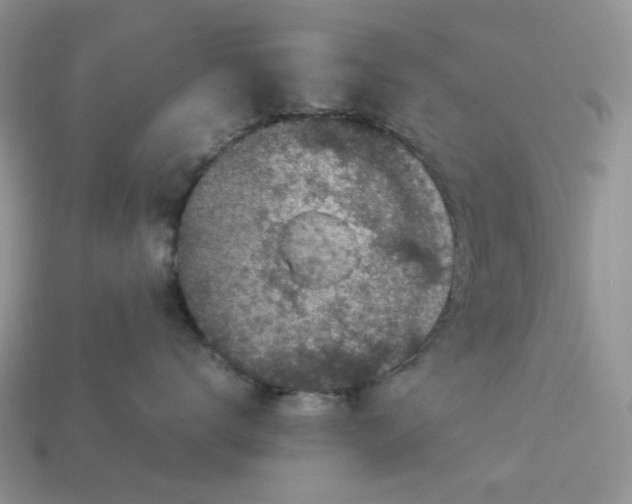 X0000113040672200909101919