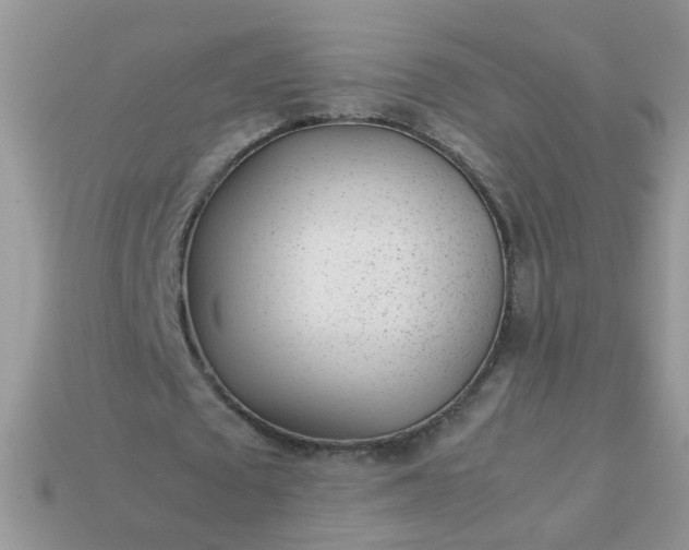 X0000113040673200909101918