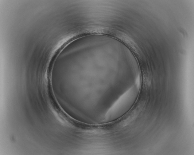 X0000113040674200909101918
