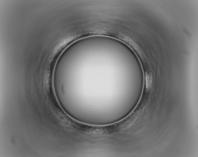 X0000113040675200909101918