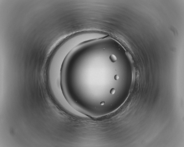X0000113040676200909101918