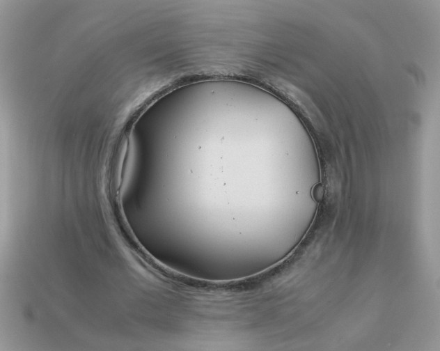X0000113040677200909101918