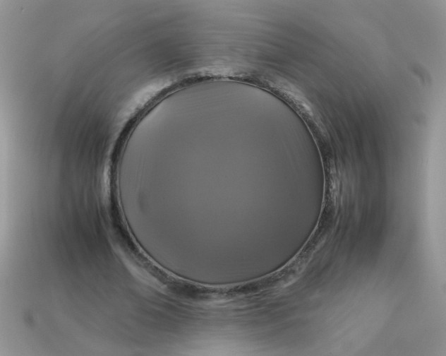 X0000113040678200909101918