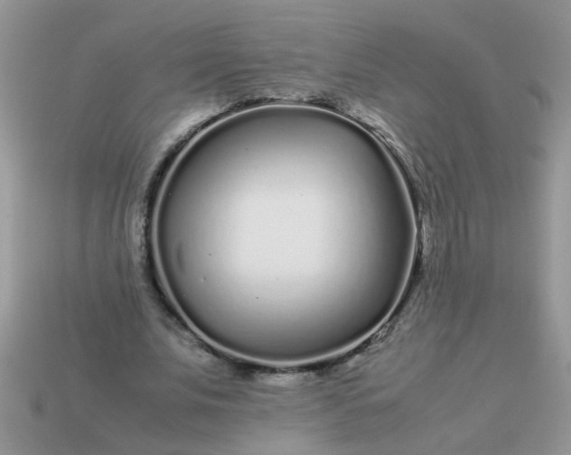 X0000113040679200909101918