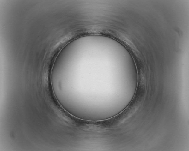 X0000113040681200909101918