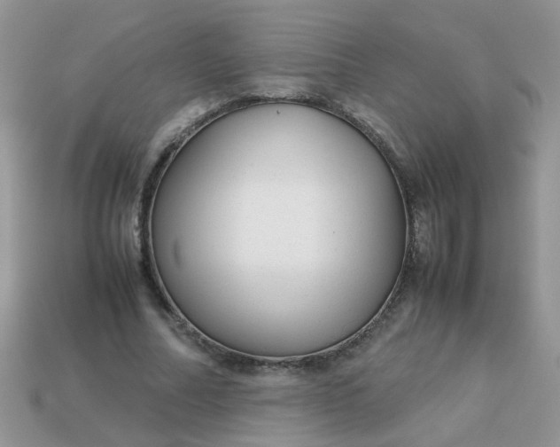 X0000113040682200909101918