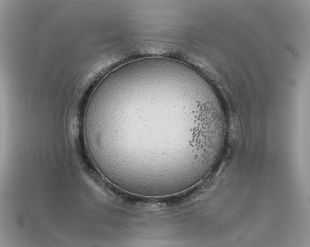 X0000113040683200909101918