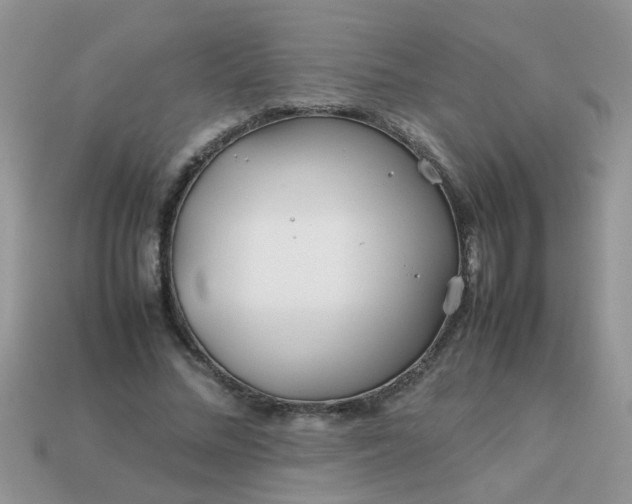 X0000113040684200909101918