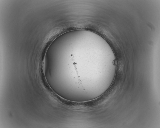 X0000113040685200909101918