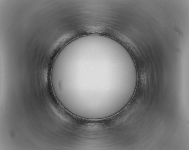 X0000113040686200909101918