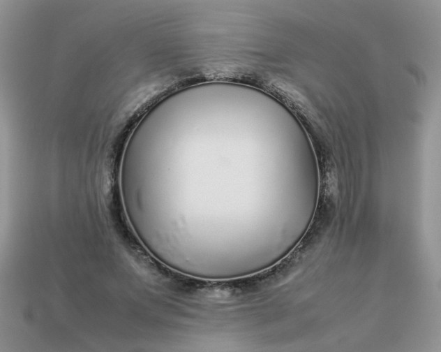 X0000113040687200909101918