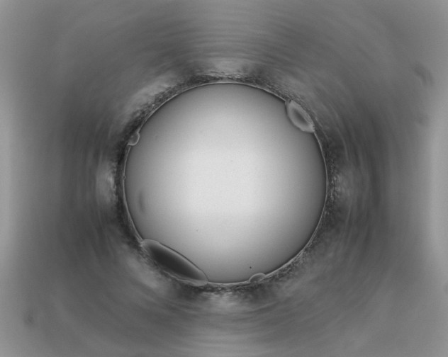 X0000113040688200909101918
