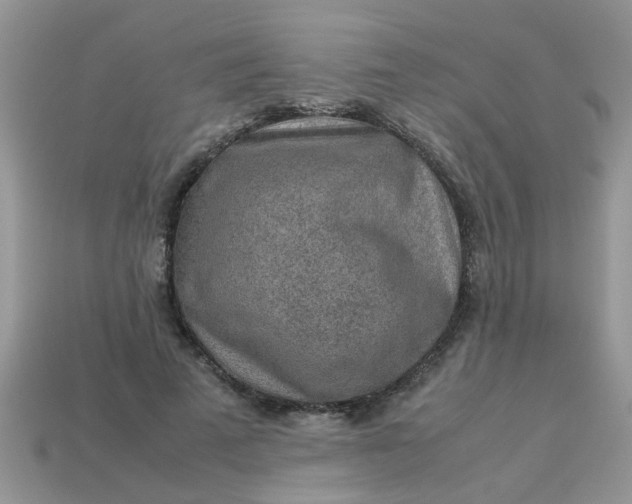 X0000113040689200909101918