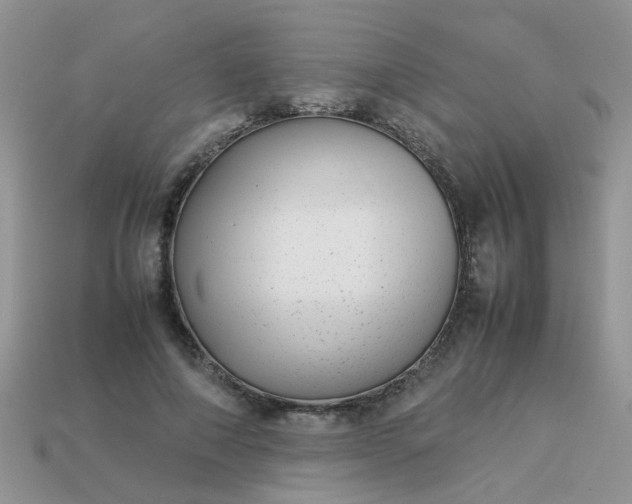 X0000113040690200909101918