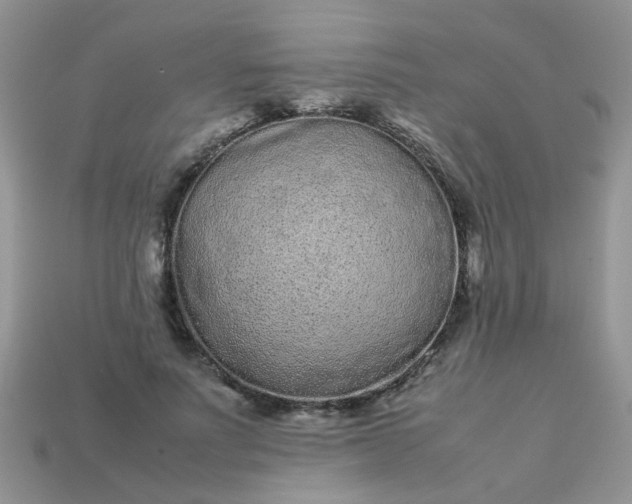 X0000113040691200909101918