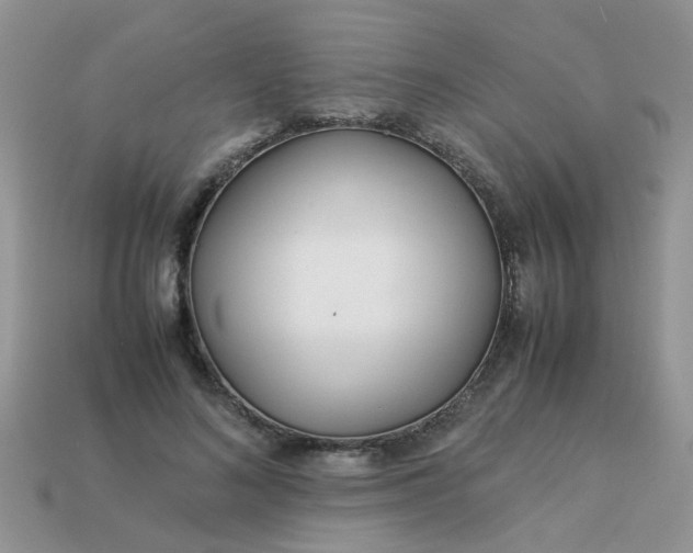 X0000113040692200909101918