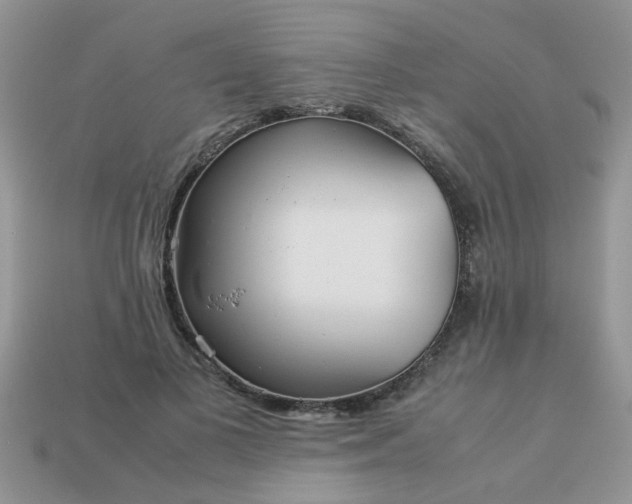 X0000113040693200909101918