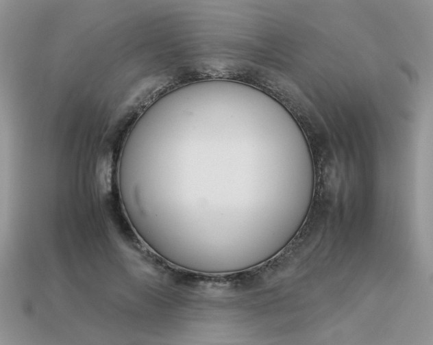 X0000113040694200909101918