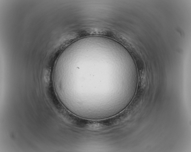 X0000113040695200909101918
