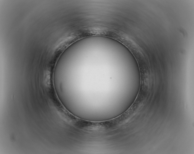 X0000113040696200909101918