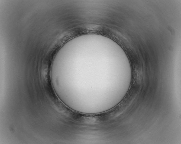 X0000113040698200909101918