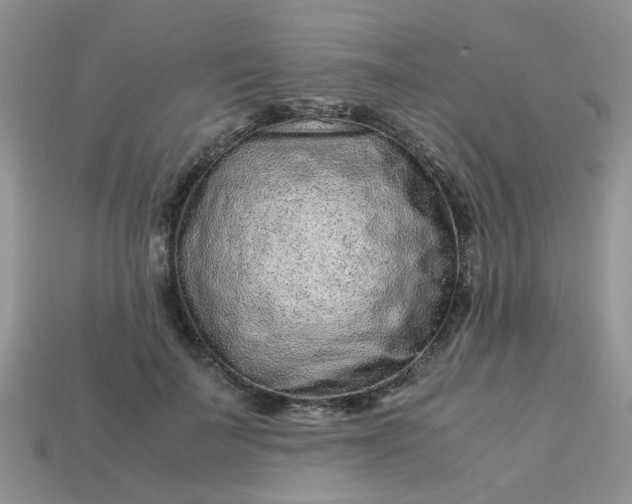 X0000113040699200909101918