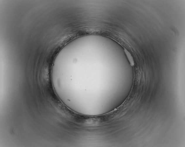 X0000113040700200909101918