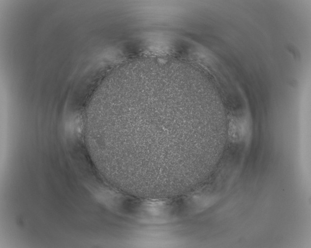 X0000113040701200909101918
