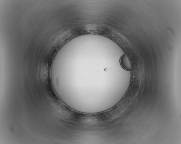 X0000113040702200909101918