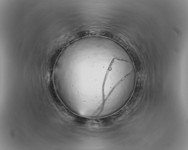 X0000113040703200909101918