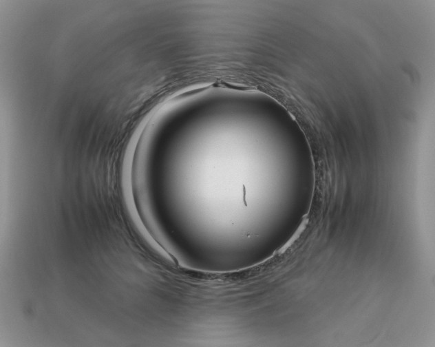X0000113040704200909101918