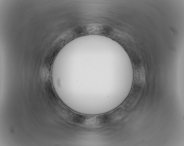 X0000113040705200909101918