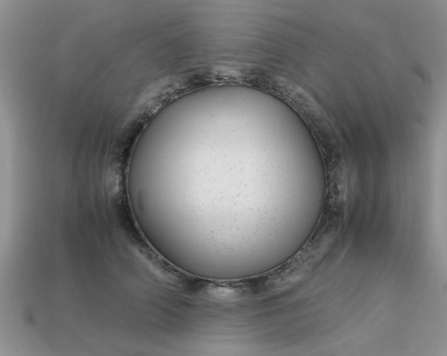 X0000113040706200909101918