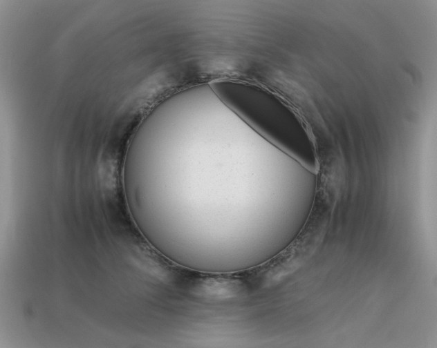 X0000113040708200909101918