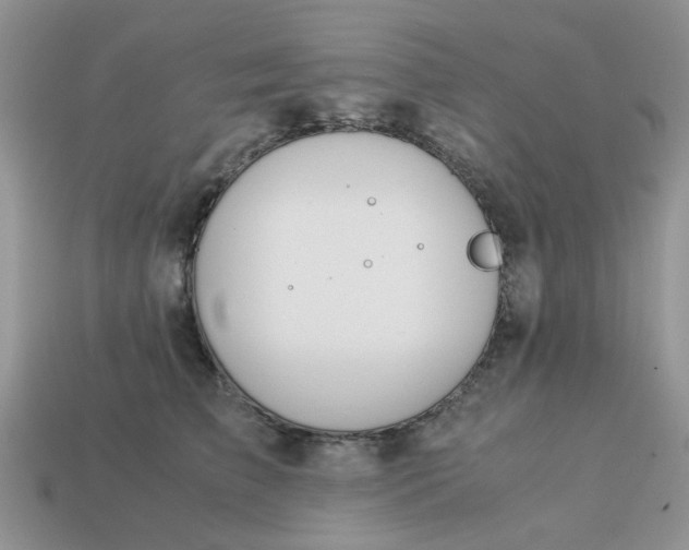 X0000113040709200909101918