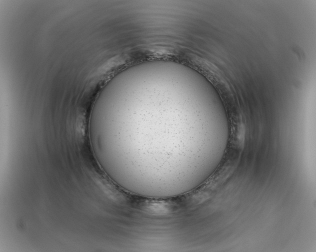 X0000113040710200909101918