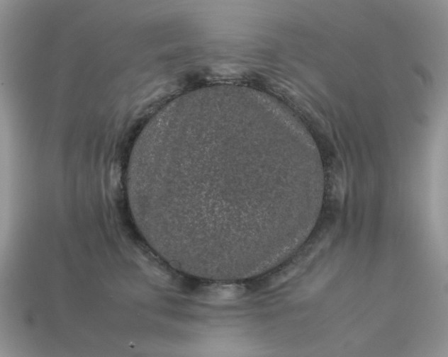 X0000113040711200909101918