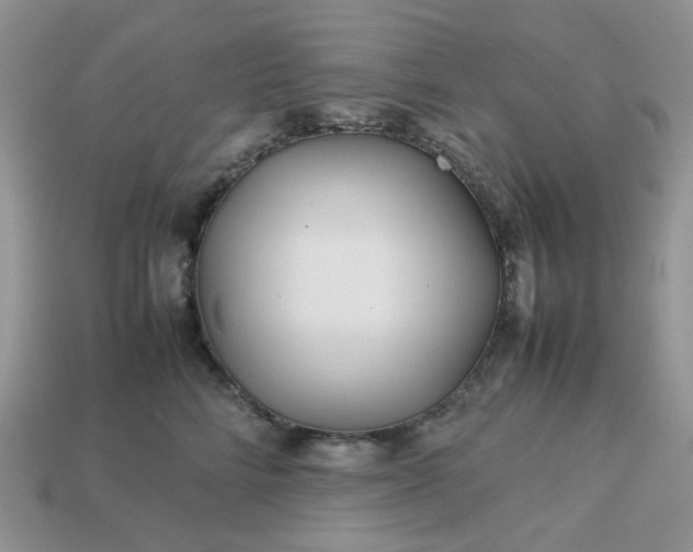 X0000113040712200909101918