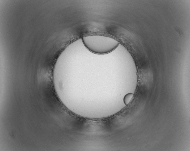 X0000113040713200909101918