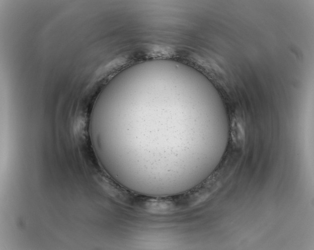 X0000113040714200909101918