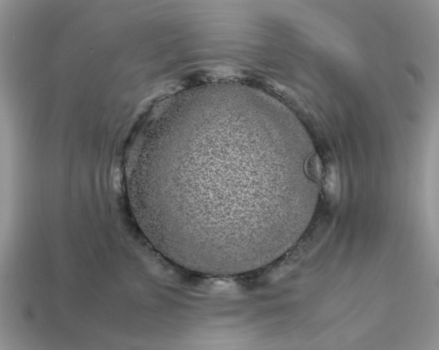X0000113040715200909101918