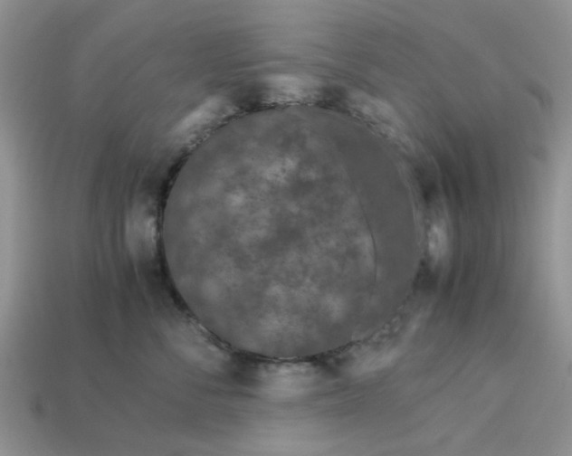 X0000113040716200909101918
