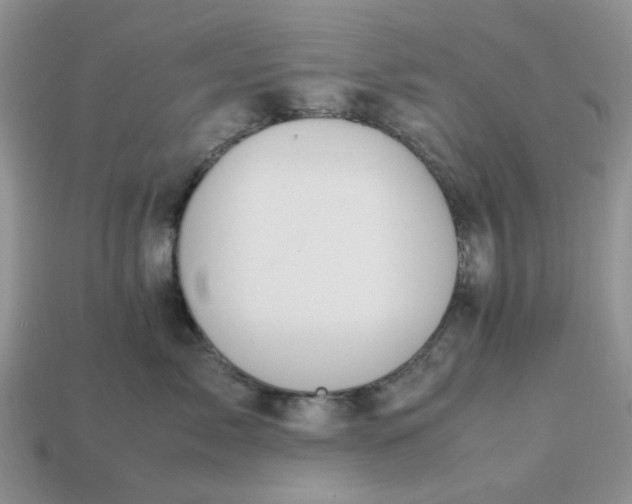 X0000113040717200909101918