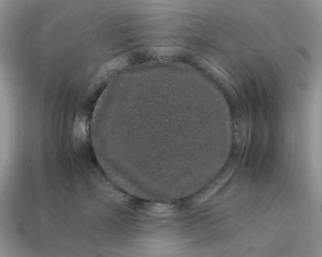 X0000113040718200909101918